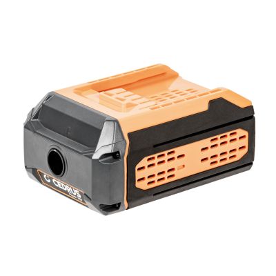 Adapter do baterii plecakowej Cedrus 60 V Power Plus