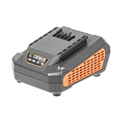 Cedrus CHB2.5 Ładowarka 2,5 A Power Plus 60 V
