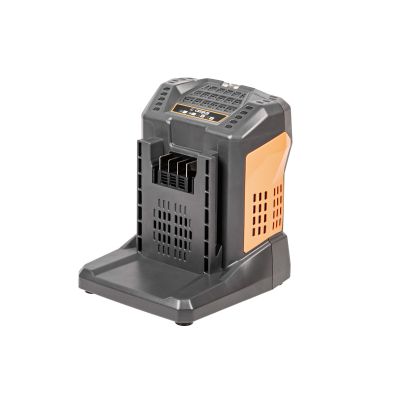 Cedrus CHB5.5 Ładowarka 5,5 A Power Plus 60 V