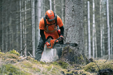 Husqvarna 572 XP Pilarka spalinowa łańcuchowa 966733118 966 73 31‑18 ułatwia ścinanie, okrzesywanie i przerzynkę