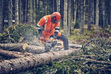 Husqvarna 562 XP Mark II Pilarka spalinowa łańcuchowa 970663518 970 66 35‑18 uruchamia się łatwo w każdych warunkach