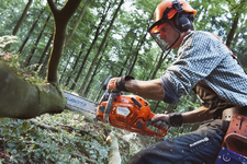 Husqvarna 555 Pilarka spalinowa łańcuchowa 970501215 970 50 12‑15 do pielęgnacji drzew