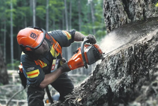 Husqvarna 550 XP Mark II Pilarka spalinowa łańcuchowa 967690835 967 69 08‑35 z funkcją AutoTune