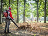 Cifarelli BL1200 Dmuchawa do liści spalinowa nadaje się do  czyszczenia dużych terenów czy parków