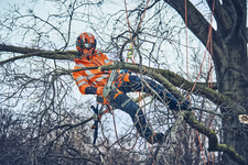 Husqvarna T542i XP Pilarka akumulatorowa łańcuchowa 970646814 970 64 68‑14 dla pielęgnacji drzew i arborystów