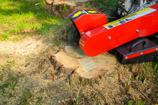 Cedrus FR01 Frezarka do pni spalinowa przydatna w trudno dostępnych miejscach