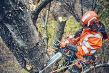 Husqvarna 560 XP Mark II Pilarka spalinowa łańcuchowa 970657015 970 65 70‑15 do cięcia wszystkich rodzajów drzew